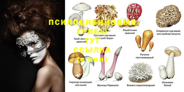 apvp Тутаев