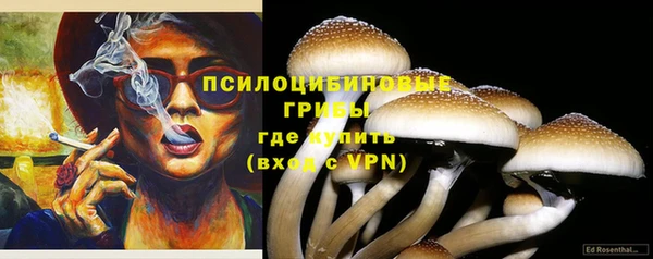 скорость Белокуриха