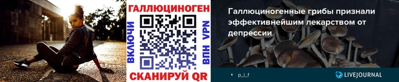 MEGA зеркало  Волоколамск  Псилоцибиновые грибы мицелий  как найти закладки 